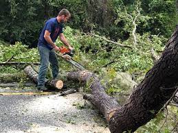 Best Storm Damage Tree Cleanup  in Lovejoy, GA